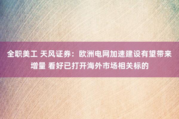 全职美工 天风证券：欧洲电网加速建设有望带来增量 看好已打开海外市场相关标的