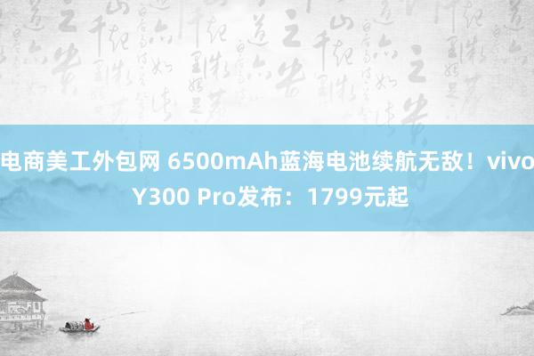 电商美工外包网 6500mAh蓝海电池续航无敌！vivo Y300 Pro发布：1799元起